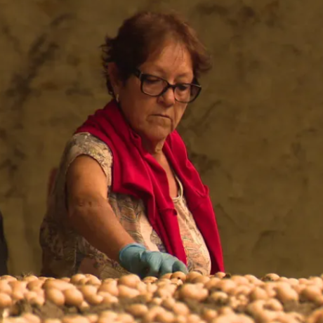 Illustration actualité